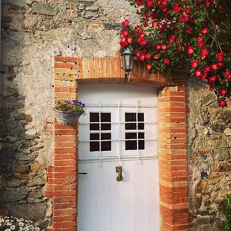 La Terrasse Villa Sorèze Dış mekan fotoğraf